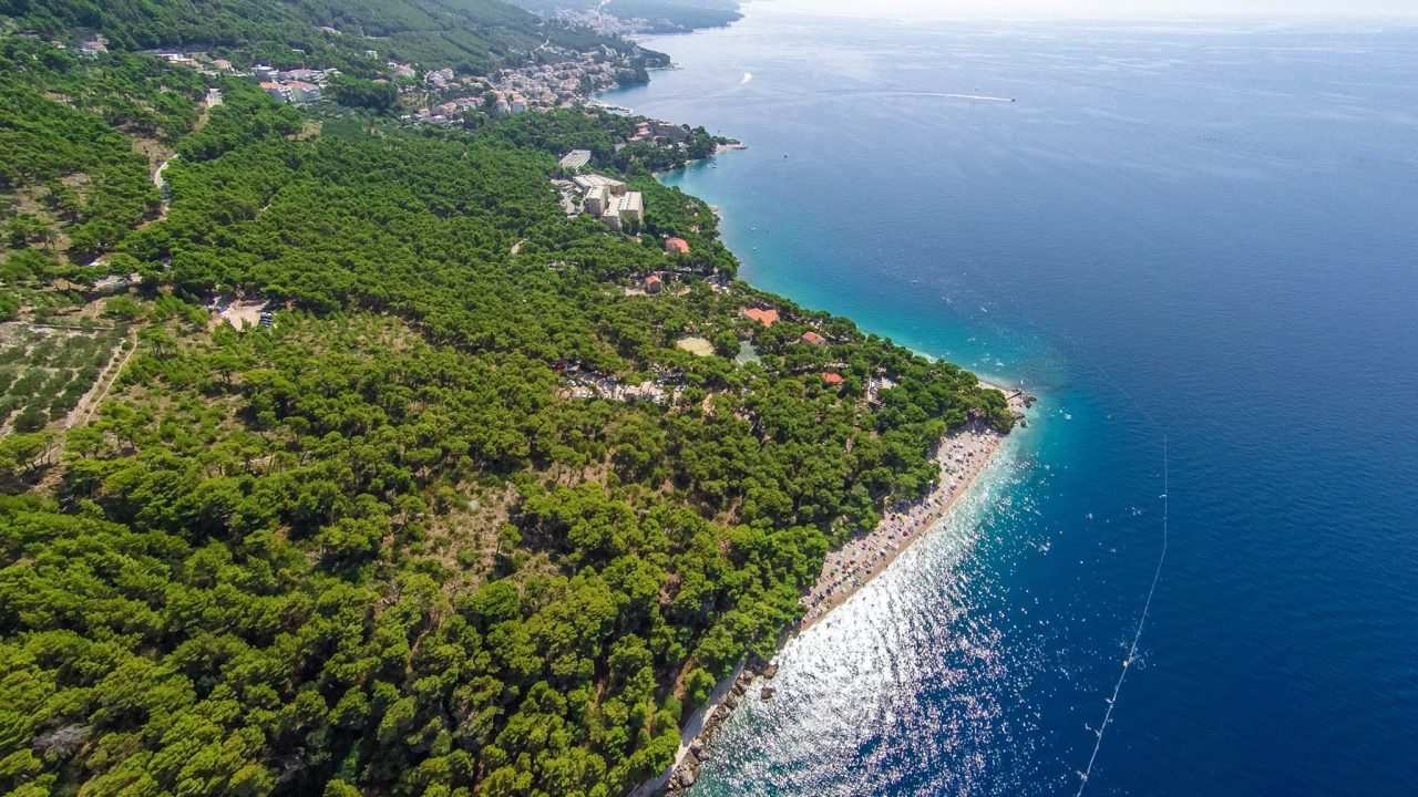 516099267_10229538717880610_8955074621232013067_n (1)