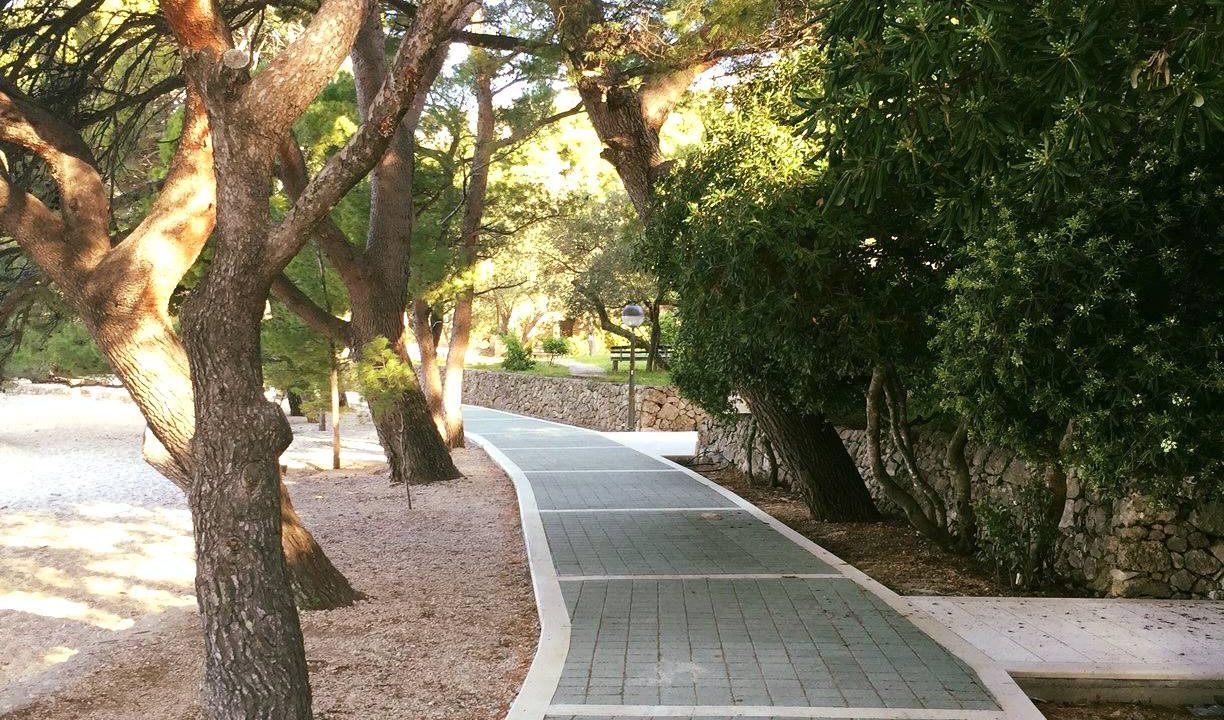 516395689_10229573561031667_8263053125885321044_n (1)