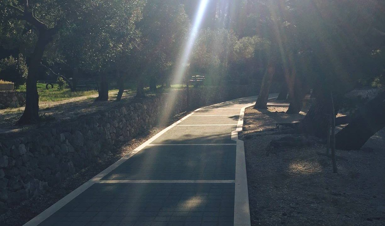 516423006_10229573559631632_7774043238499213942_n