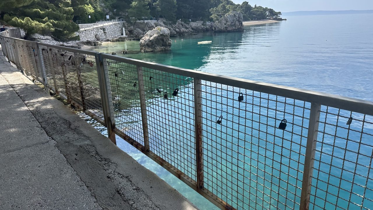 518311282_10229727686044696_1571268578505565114_n