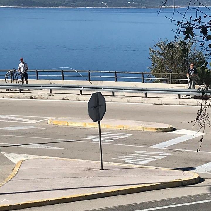 42658412_10212900345131690_2874266026575396864_n