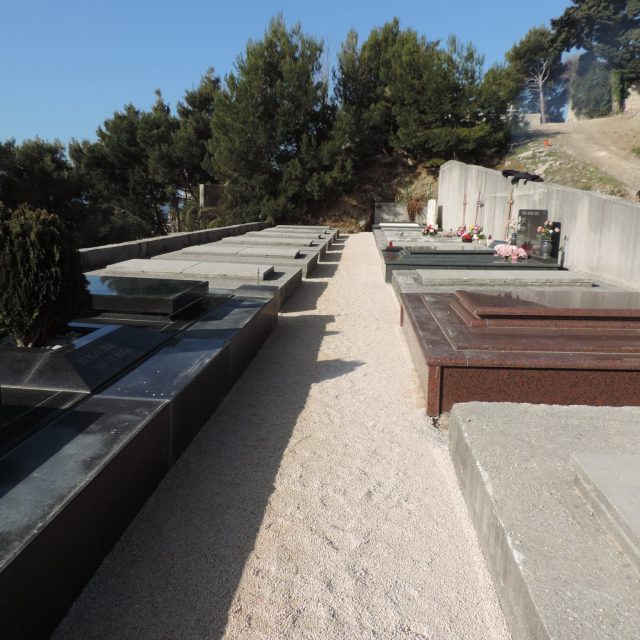 515502829_10229629840358615_3806513612595964114_n