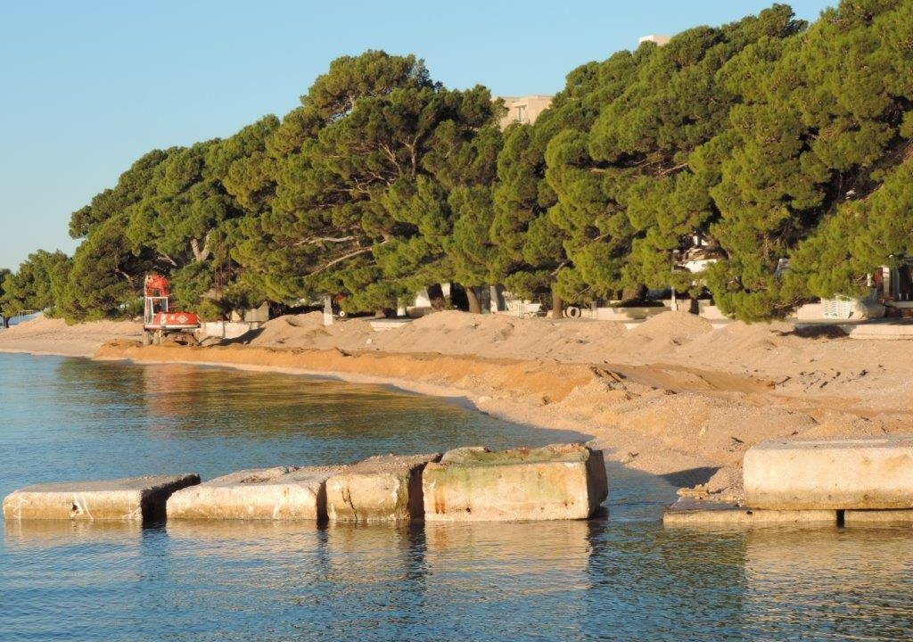 516439378_10229641847658790_4313387654290785832_n