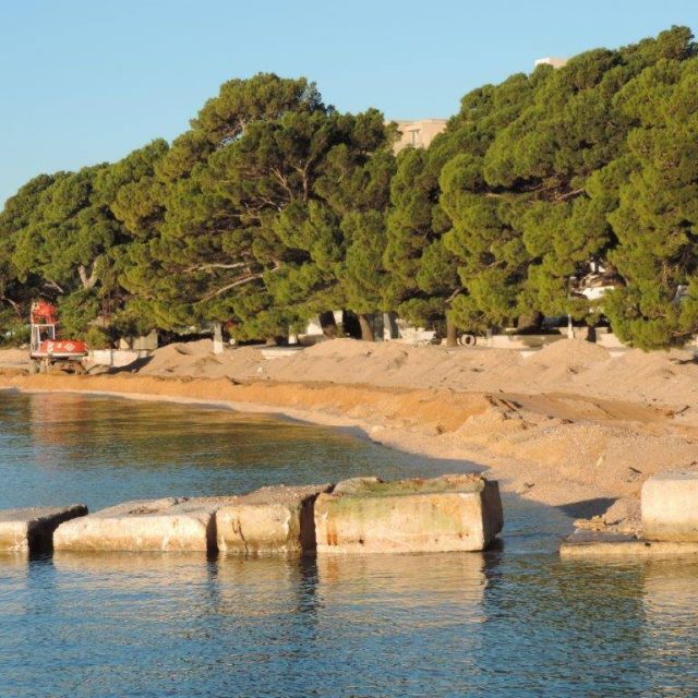 516439378_10229641847658790_4313387654290785832_n