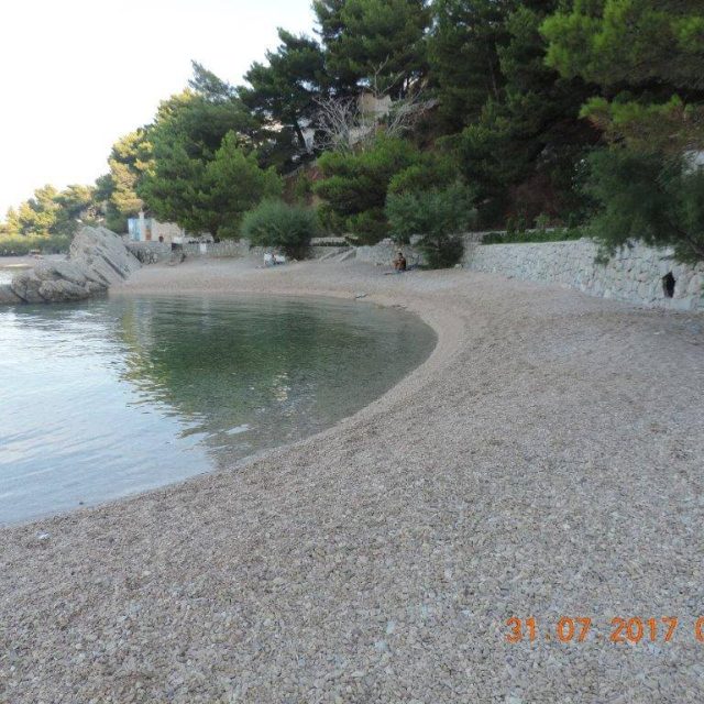 516599593_10229661137021012_644794680216655563_n