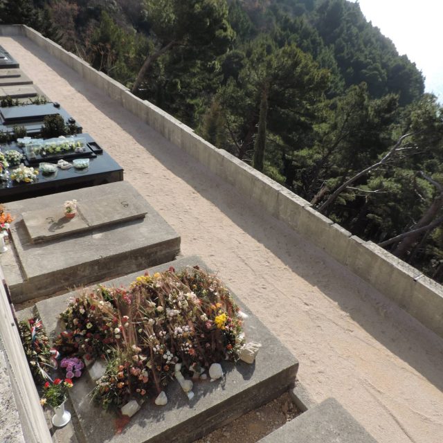 516648103_10229629839678598_1690204896966662449_n