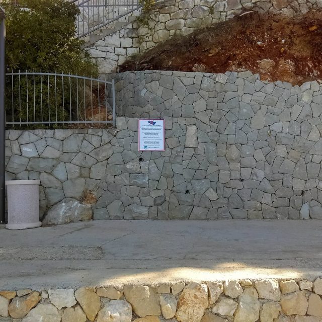 516812583_10229661137661028_4621634434250290496_n