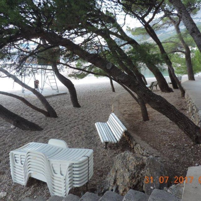 517134864_10229661126660753_7991678035356749963_n