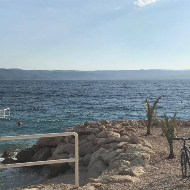 517183867_10229654147206271_7579276384426138365_n