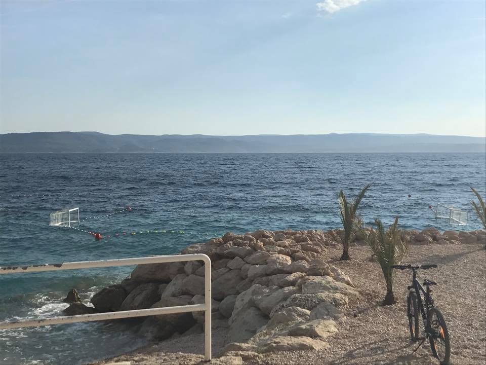 517183867_10229654147206271_7579276384426138365_n