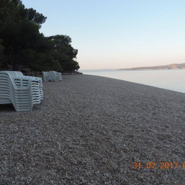 517298194_10229661140621102_4213880215234124119_n