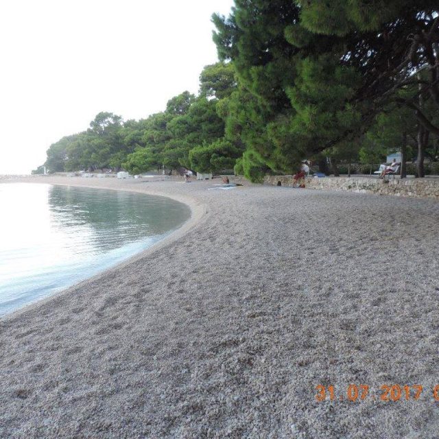 517431564_10229661140021087_7905716376988670463_n