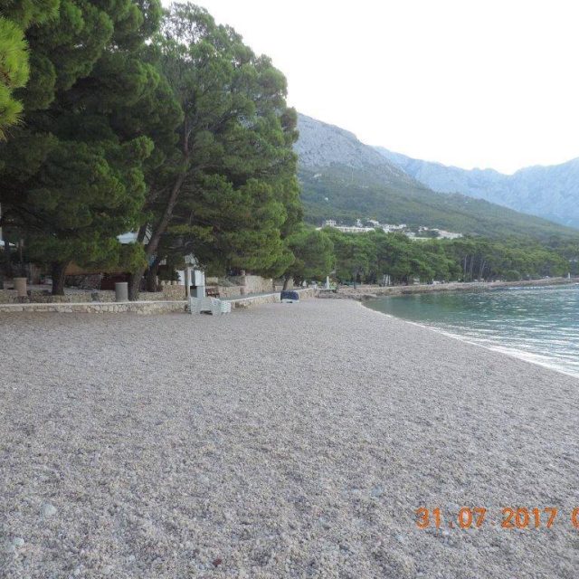 517575339_10229661136981011_977593254967577484_n