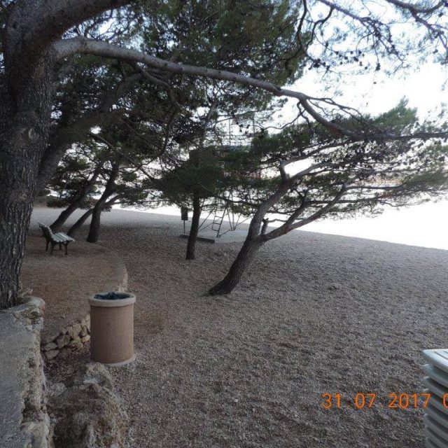 517637304_10229661126580751_7960617512782833505_n