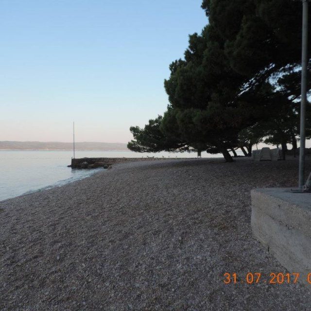 518354669_10229661139981086_9000368125519955884_n