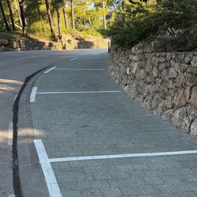 730437159_10233613612350425_8850502752312359033_n